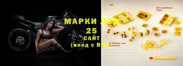 прущие грибы Алексеевка