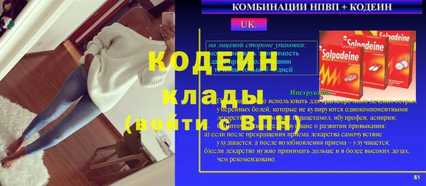 прущие грибы Алексеевка