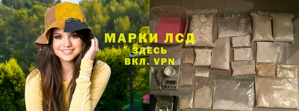 прущие грибы Алексеевка