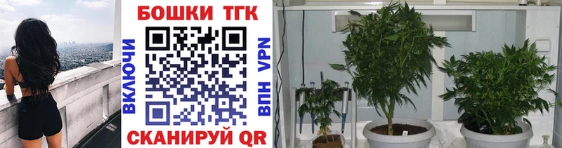 цены   Павловский Посад  Канабис сатива 